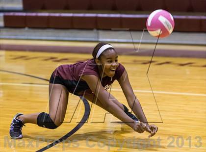 Thumbnail 1 in Steinbrenner @ Wiregrass photogallery.