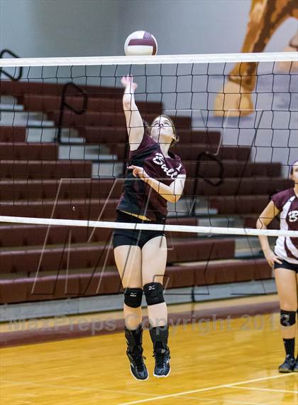 Thumbnail 3 in Steinbrenner @ Wiregrass photogallery.