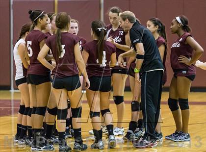 Thumbnail 2 in Steinbrenner @ Wiregrass photogallery.