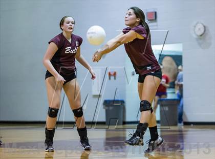 Thumbnail 2 in Steinbrenner @ Wiregrass photogallery.