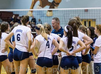 Thumbnail 1 in Steinbrenner @ Wiregrass photogallery.