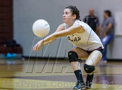 Thumbnail 2 in Steinbrenner @ Wiregrass photogallery.
