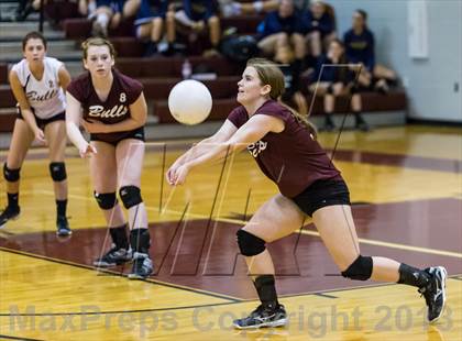 Thumbnail 3 in Steinbrenner @ Wiregrass photogallery.
