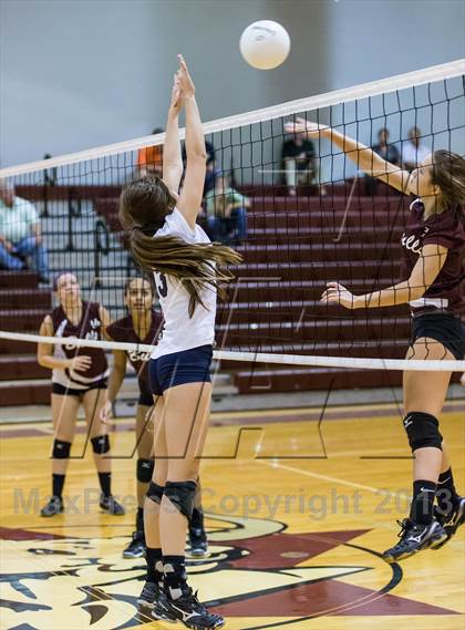 Thumbnail 3 in Steinbrenner @ Wiregrass photogallery.