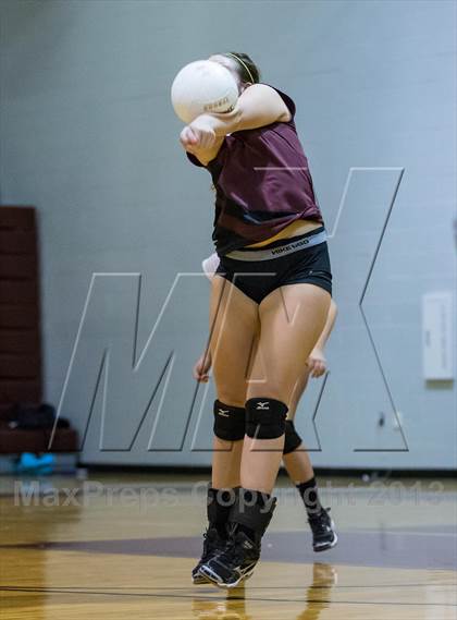 Thumbnail 2 in Steinbrenner @ Wiregrass photogallery.