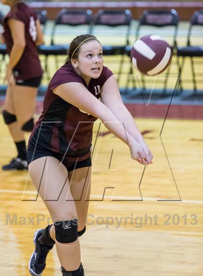Thumbnail 3 in Steinbrenner @ Wiregrass photogallery.