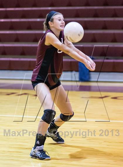 Thumbnail 3 in Steinbrenner @ Wiregrass photogallery.