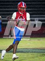 Photo from the gallery "Pine Forest @ Crestview"