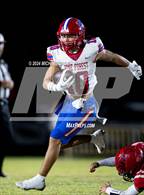 Photo from the gallery "Pine Forest @ Crestview"