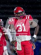 Photo from the gallery "Pine Forest @ Crestview"