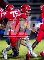 Photo from the gallery "Pine Forest @ Crestview"