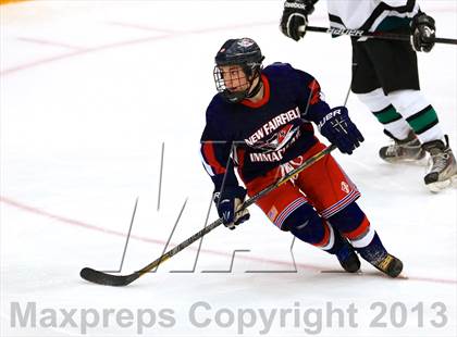 Thumbnail 3 in New Milford @ New Fairfield/Immaculate photogallery.