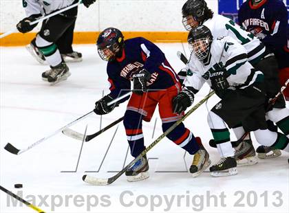 Thumbnail 1 in New Milford @ New Fairfield/Immaculate photogallery.