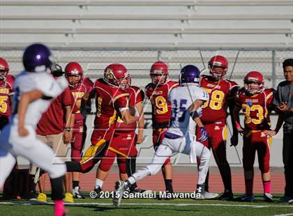 Thumbnail 3 in  Arcadia @ Hoover photogallery.