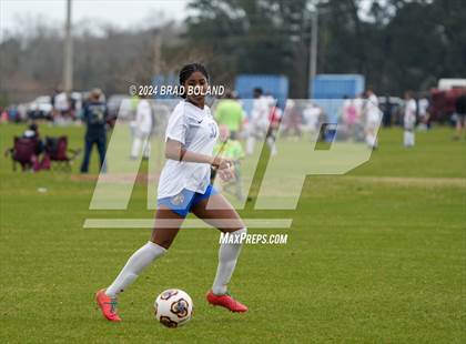Thumbnail 2 in Auburn @ Vestavia Hills photogallery.