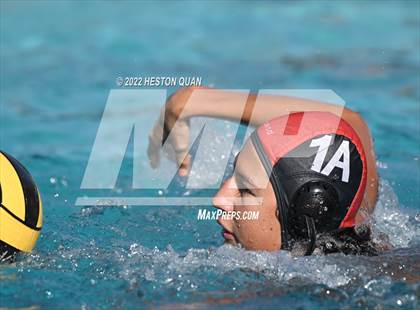Thumbnail 3 in Esperanza @ Villa Park photogallery.