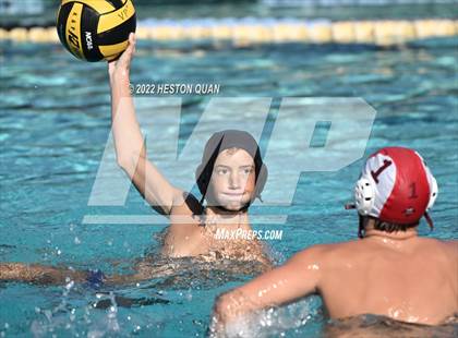 Thumbnail 3 in Esperanza @ Villa Park photogallery.