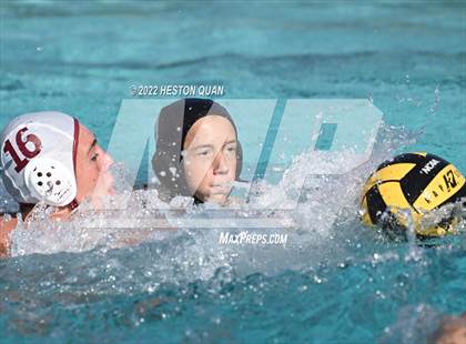 Thumbnail 3 in Esperanza @ Villa Park photogallery.