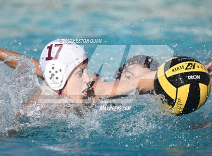 Thumbnail 3 in Esperanza @ Villa Park photogallery.