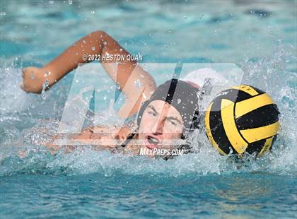 Thumbnail 3 in Esperanza @ Villa Park photogallery.
