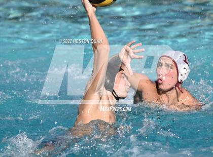 Thumbnail 2 in Esperanza @ Villa Park photogallery.