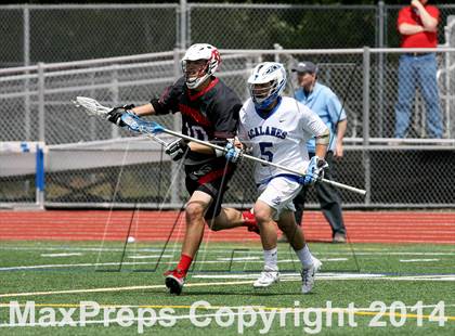 Thumbnail 3 in Redwood @ Acalanes photogallery.