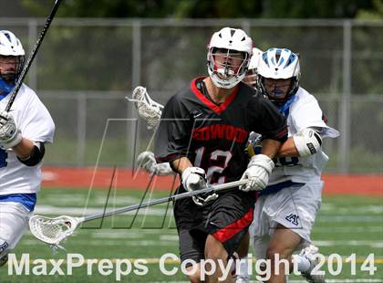 Thumbnail 2 in Redwood @ Acalanes photogallery.