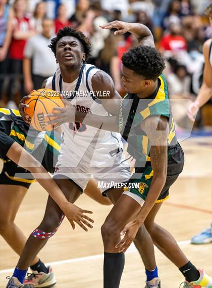 Thumbnail 3 in Pine Forest @ Terry Sanford photogallery.