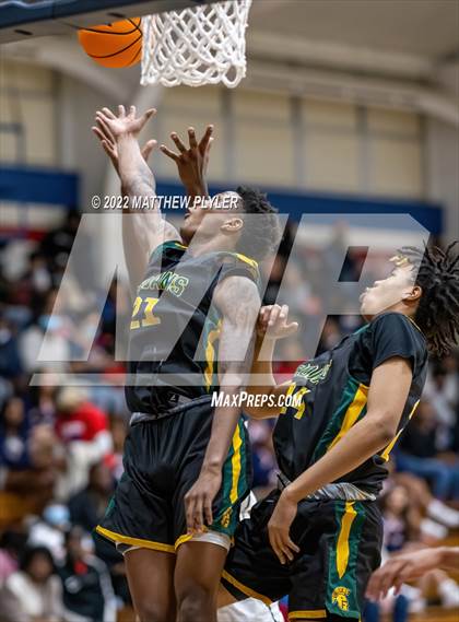 Thumbnail 2 in Pine Forest @ Terry Sanford photogallery.