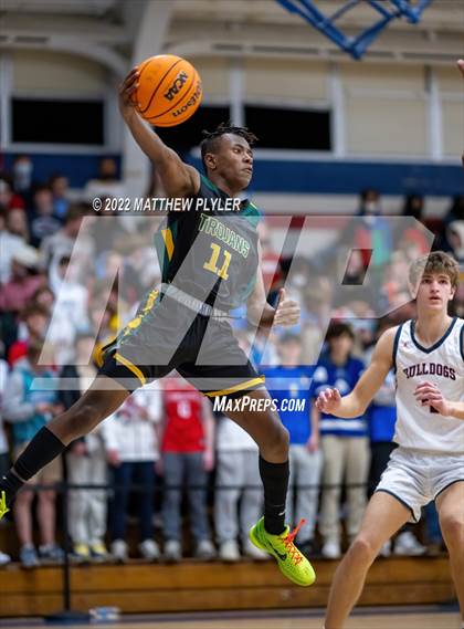 Thumbnail 1 in Pine Forest @ Terry Sanford photogallery.
