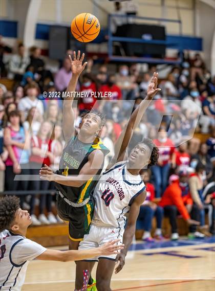Thumbnail 1 in Pine Forest @ Terry Sanford photogallery.