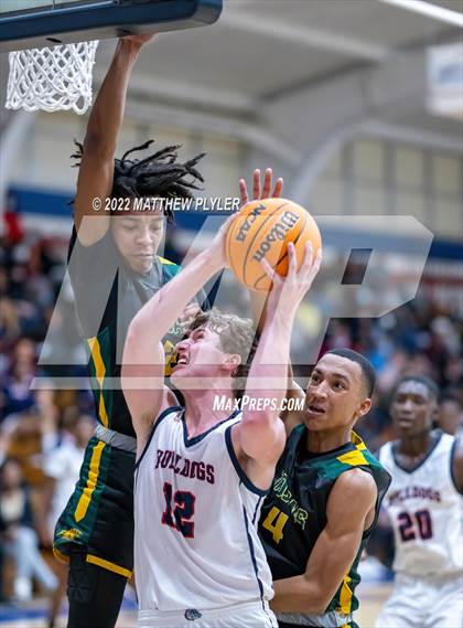 Thumbnail 3 in Pine Forest @ Terry Sanford photogallery.