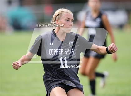 Thumbnail 2 in Hunter @ Copper Hills photogallery.