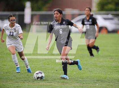 Thumbnail 3 in Hunter @ Copper Hills photogallery.
