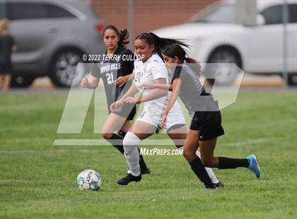 Thumbnail 2 in Hunter @ Copper Hills photogallery.