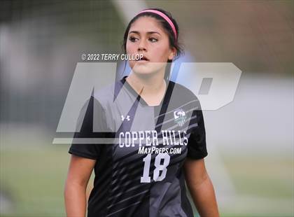 Thumbnail 1 in Hunter @ Copper Hills photogallery.