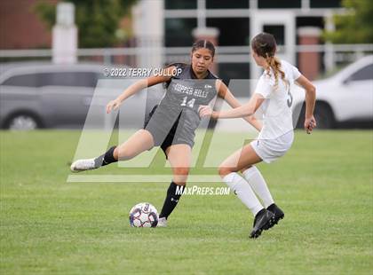 Thumbnail 3 in Hunter @ Copper Hills photogallery.