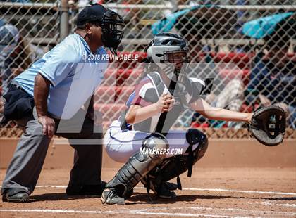 Thumbnail 1 in Benson vs Northland Prep photogallery.