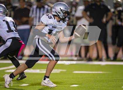 Thumbnail 3 in Basha vs Hamilton photogallery.