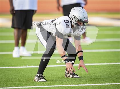 Thumbnail 2 in Basha vs Hamilton photogallery.