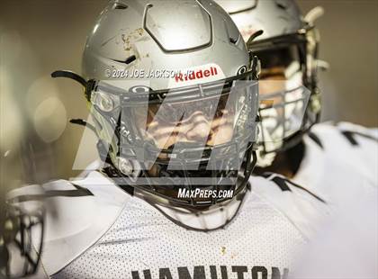 Thumbnail 1 in Basha vs Hamilton photogallery.