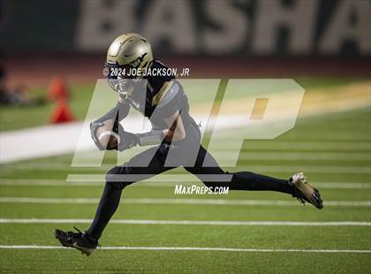 Thumbnail 3 in Basha vs Hamilton photogallery.