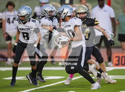 Thumbnail 2 in Basha vs Hamilton photogallery.