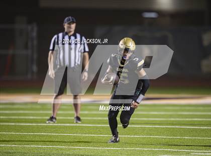 Thumbnail 2 in Basha vs Hamilton photogallery.