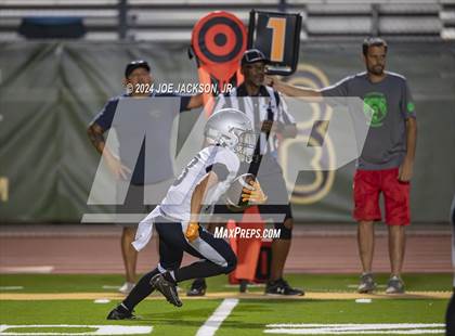 Thumbnail 1 in Basha vs Hamilton photogallery.