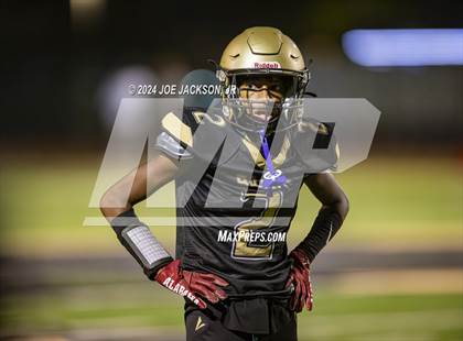 Thumbnail 2 in Basha vs Hamilton photogallery.