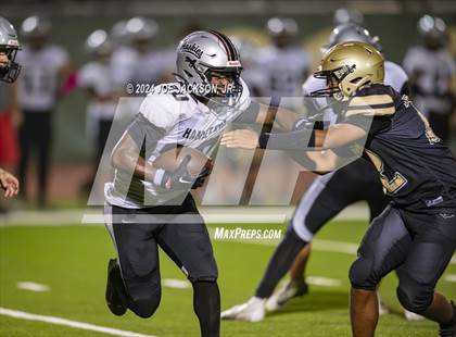 Thumbnail 2 in Basha vs Hamilton photogallery.
