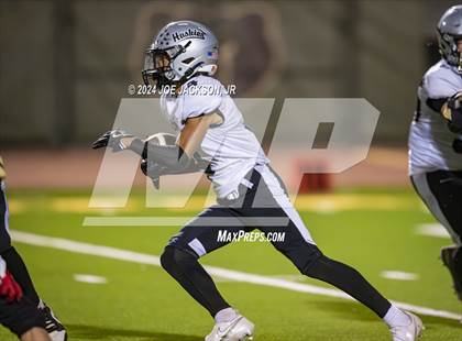 Thumbnail 3 in Basha vs Hamilton photogallery.
