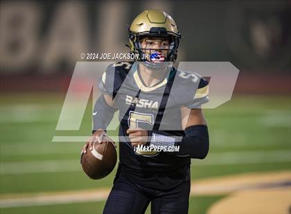 Thumbnail 3 in Basha vs Hamilton photogallery.
