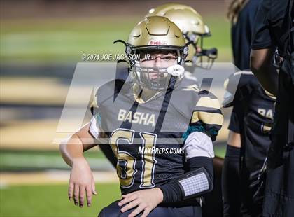 Thumbnail 1 in Basha vs Hamilton photogallery.